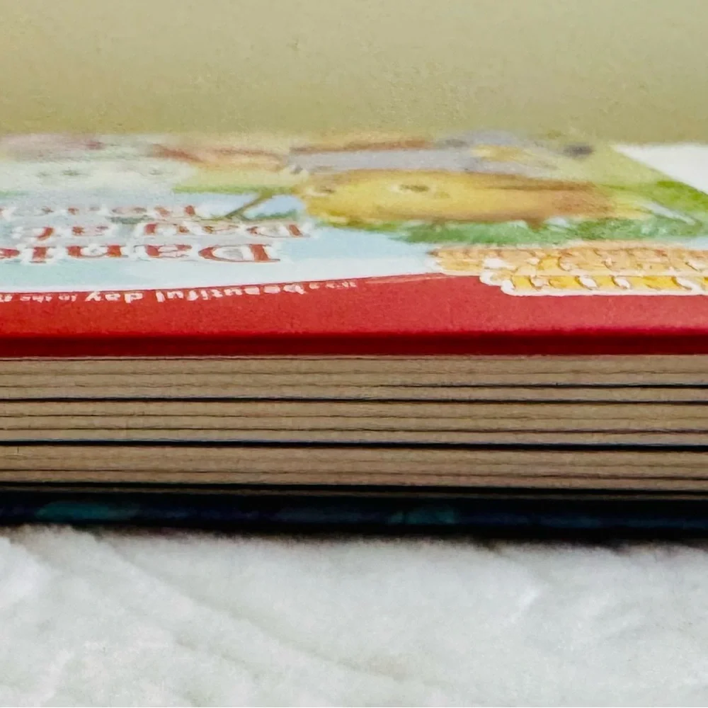 Daniel's Day at the Beach Book by Daniel Tiger’s Neighborhood (New with tags on)